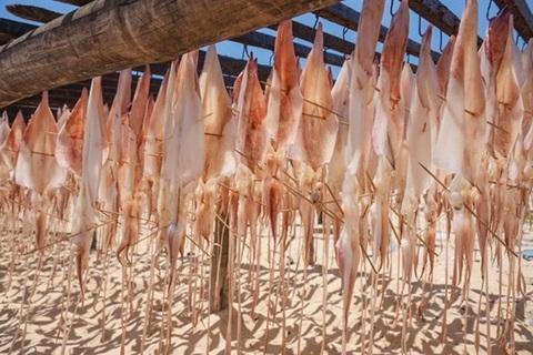 Phan Thiết có nhiều đặc sản như mực một nắng, nước mắm, hải sản khô và thanh long để hành khách tham khảo mua về làm quà