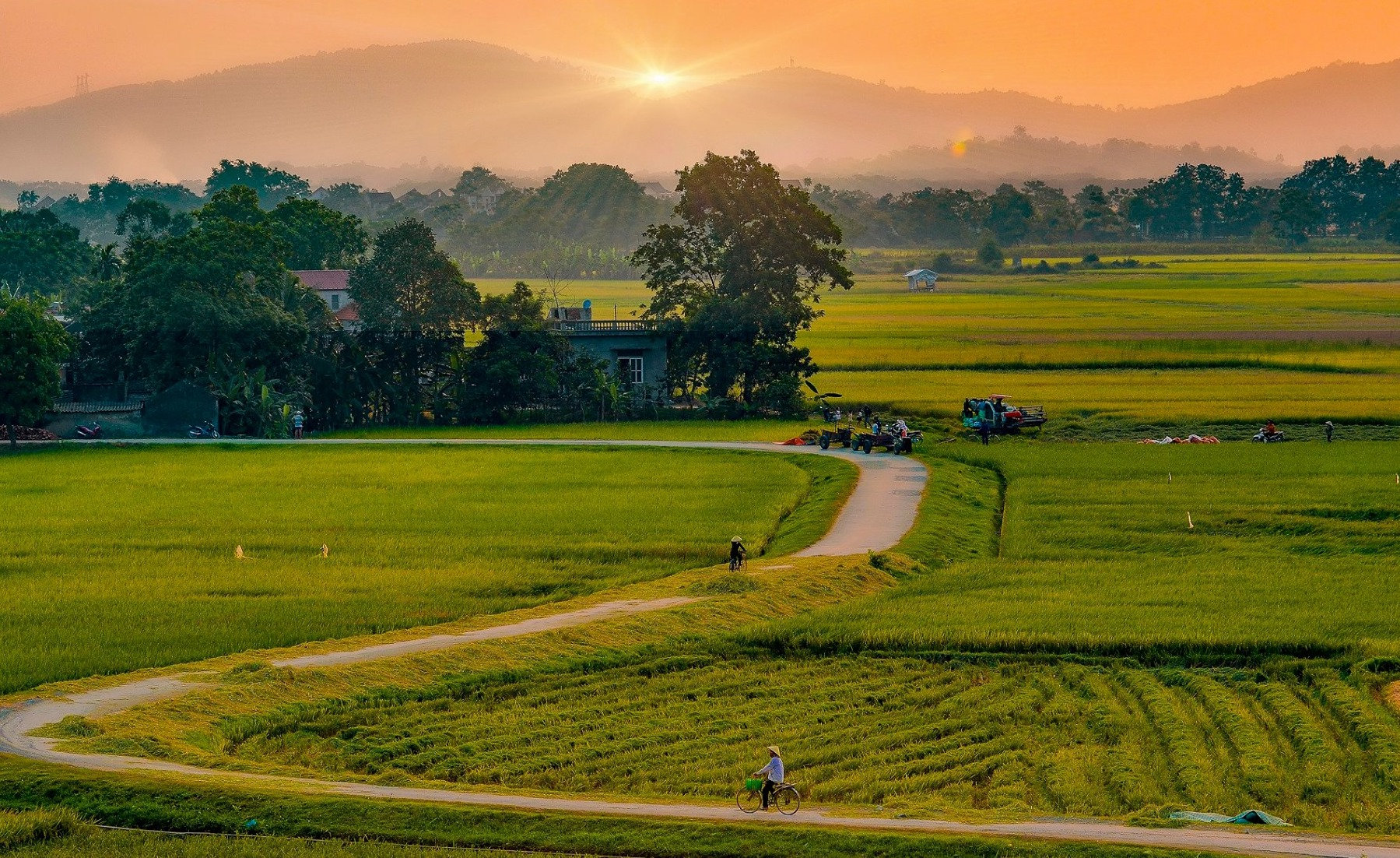 Đồng quê thanh bình Quảng Trị