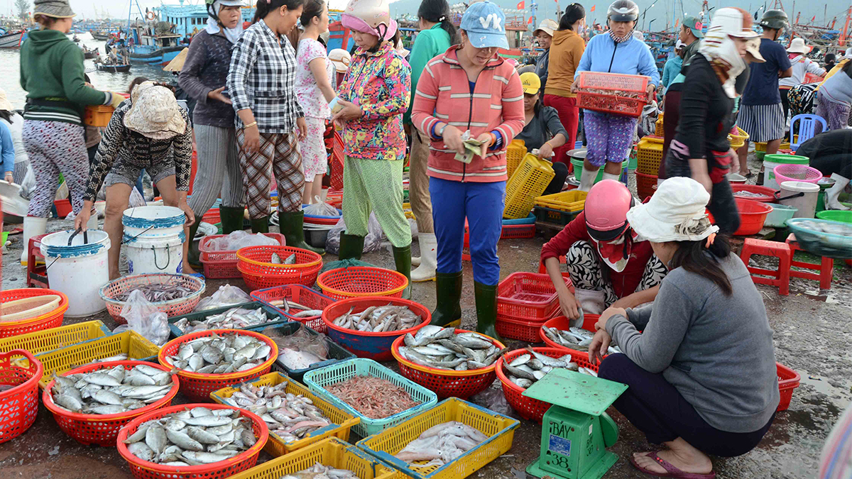 Chợ hải sản tấp nập buổi sáng