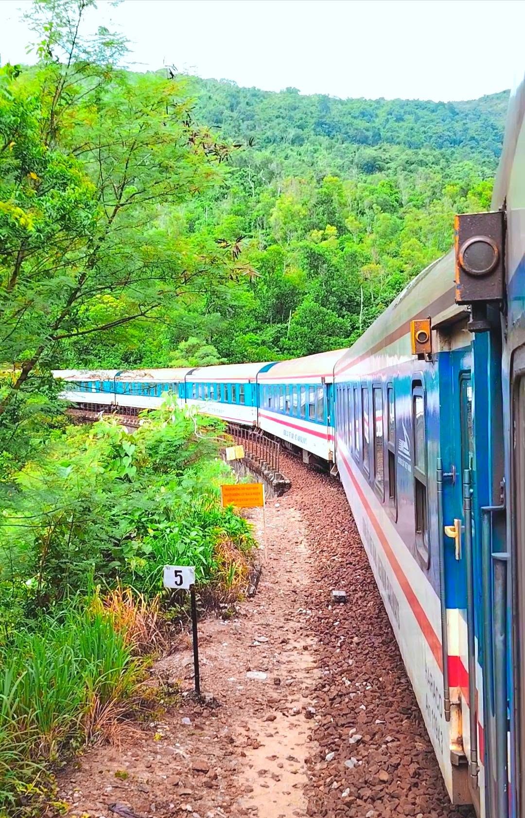 Ngắm cảnh thiên nhiên yên bình qua khung cửa sổ toa tàu