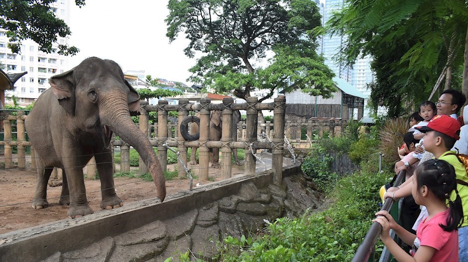 Thảo Cầm Viên Sài Gòn